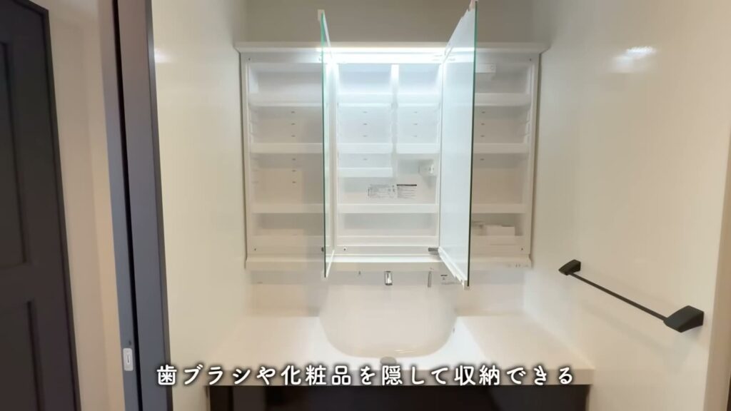 Sakura Terrace 1LDKの鏡裏収納