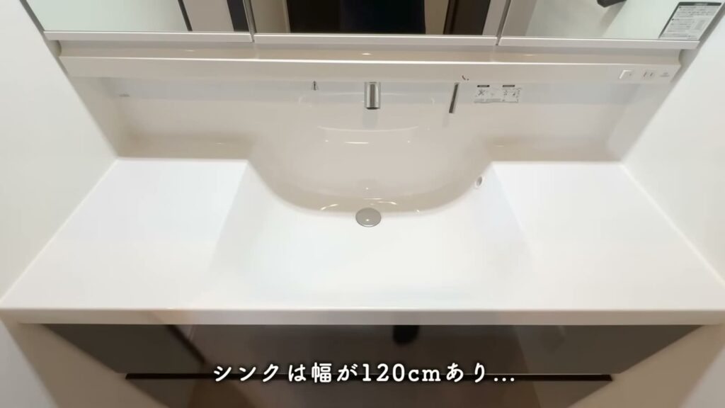 Sakura Terrace 1LDKの洗面ボウル