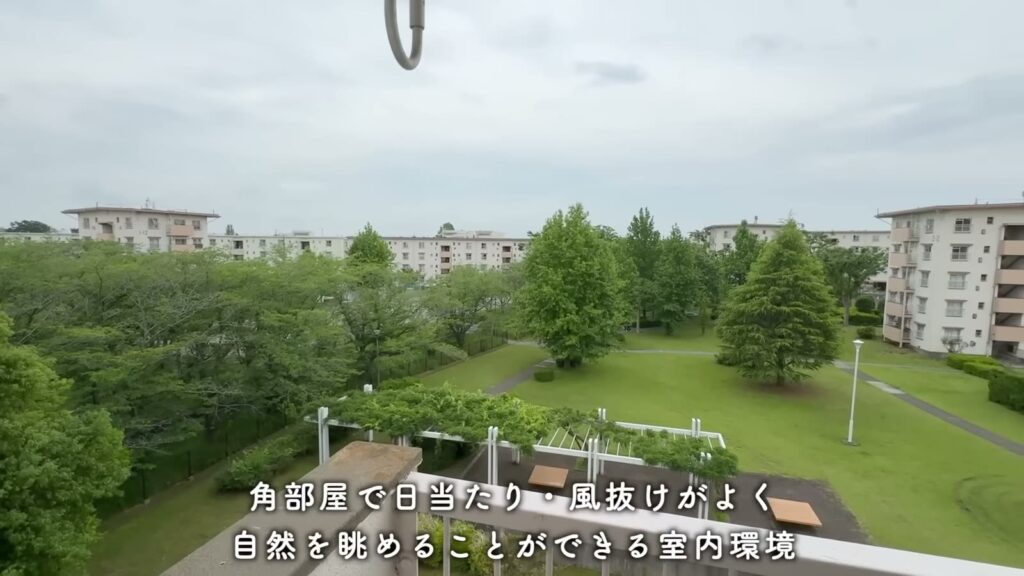 取手井野団地 3K+SFの眺め
