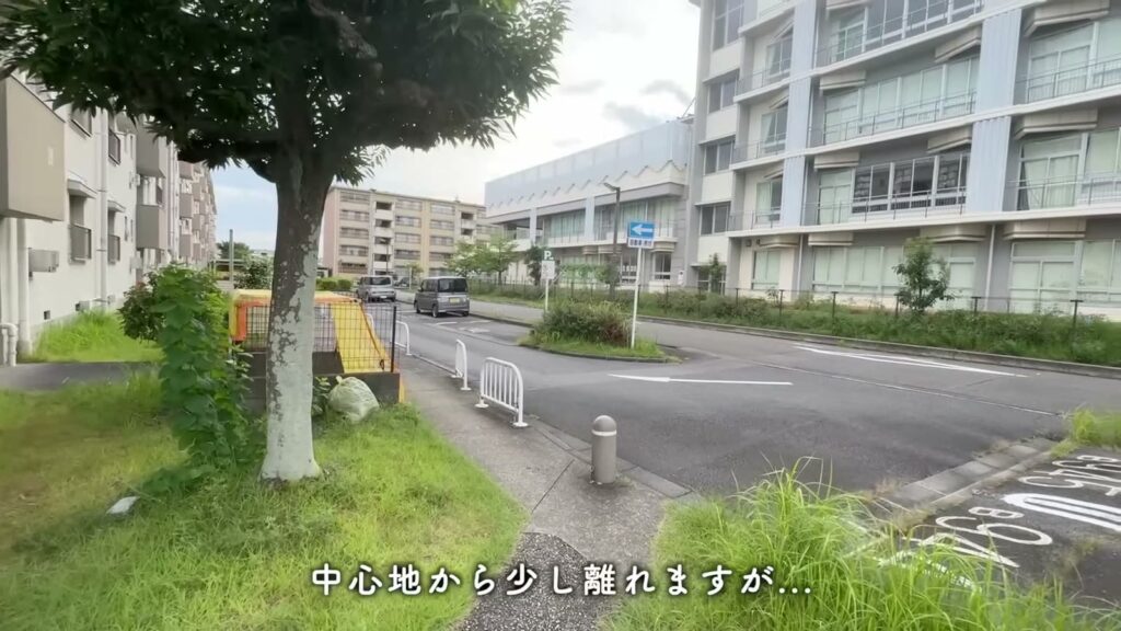 藤山台 1Kの団地内の道