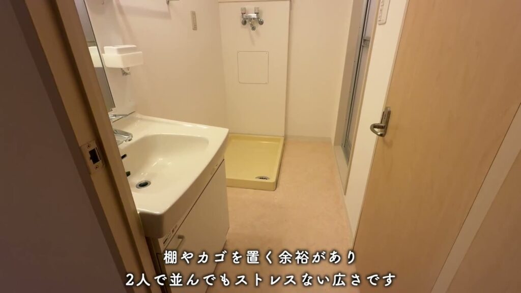一社東 1LDKの洗面室