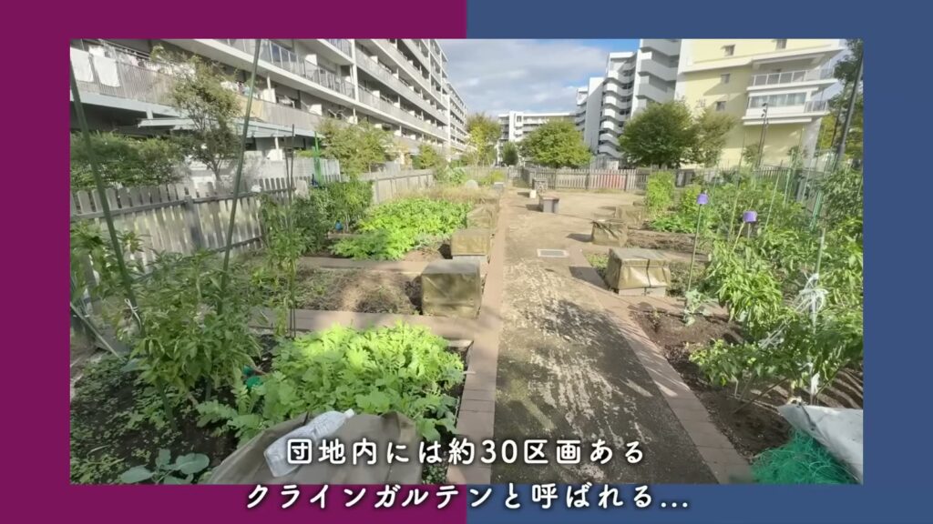 コンフォール松原 3LDKの貸し農園