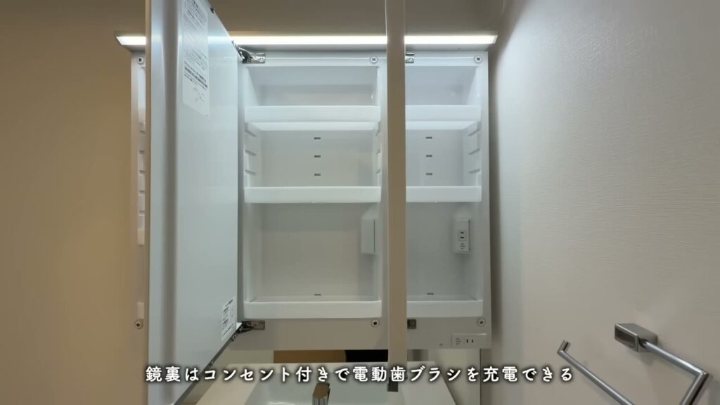 ハートアイランド新田四番街 3LDKの鏡裏収納