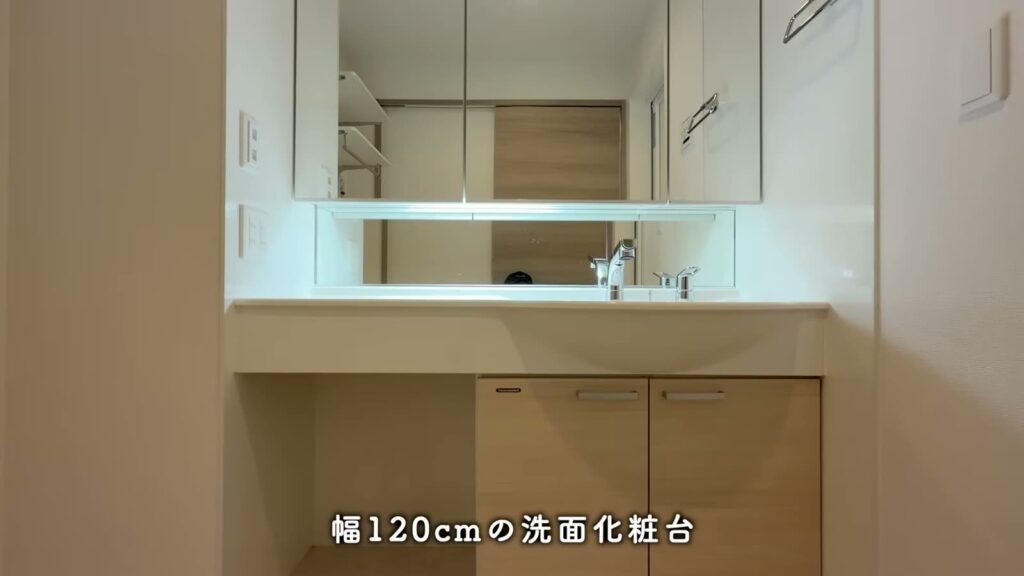 トリシア・ヒナ 1LDKの洗面台