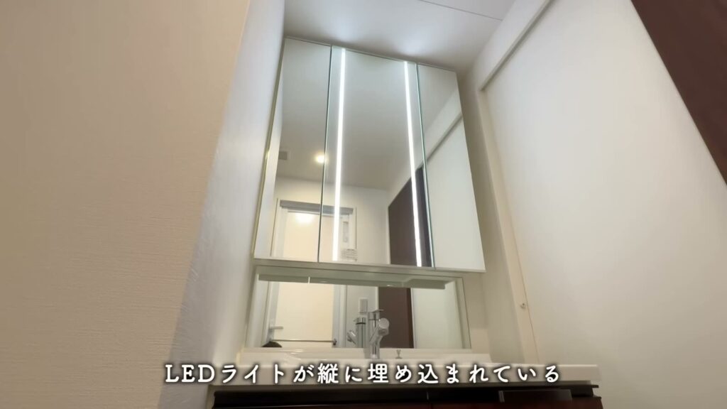 RJRプレシア六本松 2LDKの三面鏡