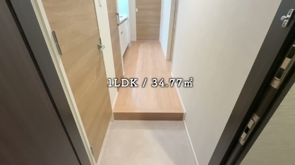 福岡市南区大橋 1LDKの玄関
