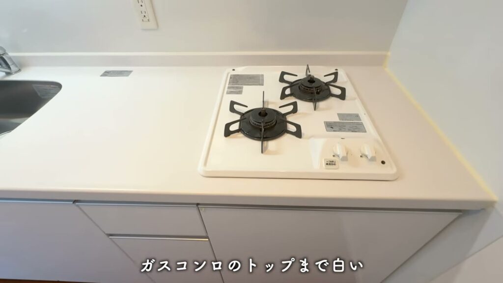 RJRプレシア西公園ベイサイド 1LDKのガスコンロ