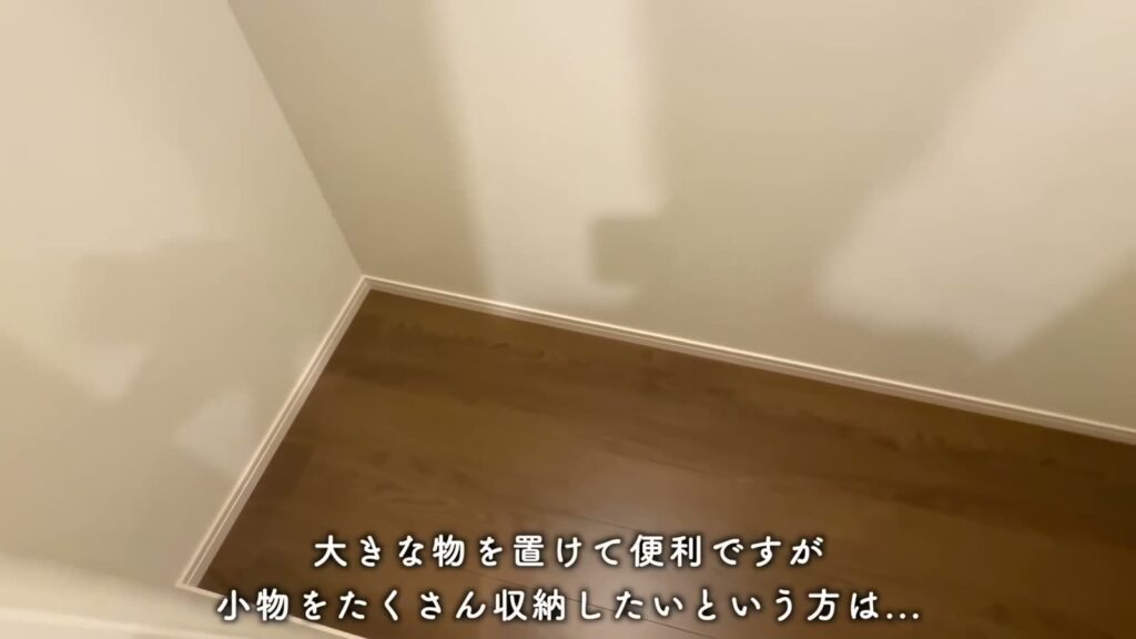 RJRプレシア大橋駅前 1LDKの玄関の収納