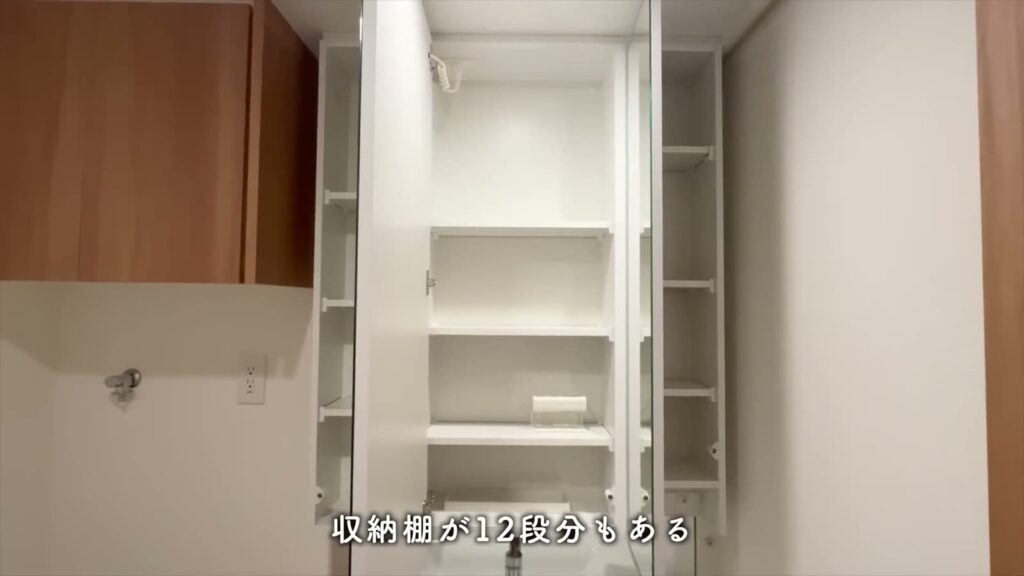 RJRプレシア六本松 1LDKの洗面室の収納