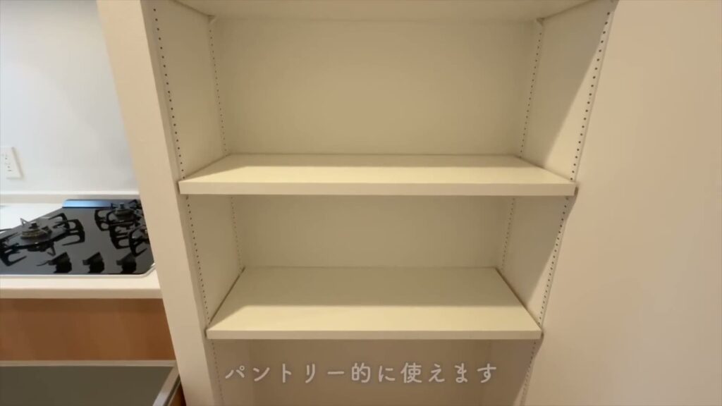 RJRプレシア六本松 1LDKの可動棚