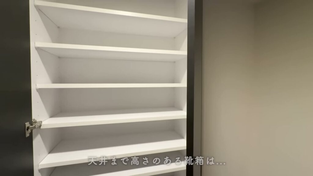 RJRプレシア天神サウス 1LDKの靴箱