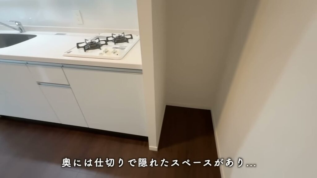 RJRプレシア天神サウス 1LDKの奥のスペース