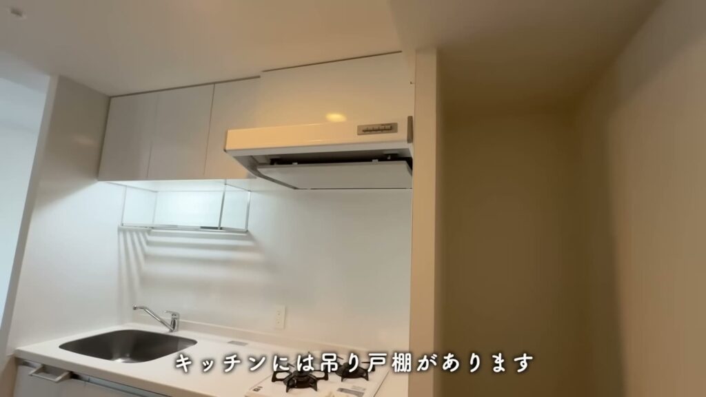 RJRプレシア天神サウス 1LDKの吊り戸棚