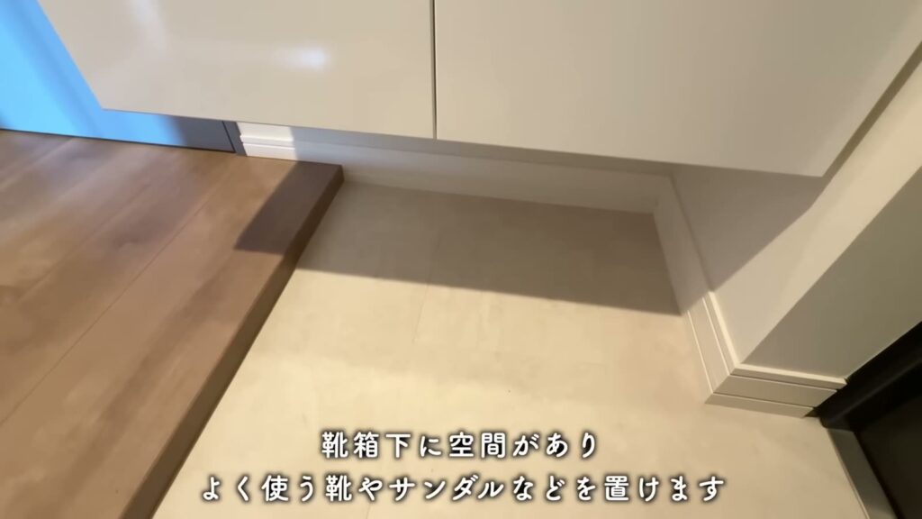 RJRプレシア熊本駅前 1LDKの靴箱下