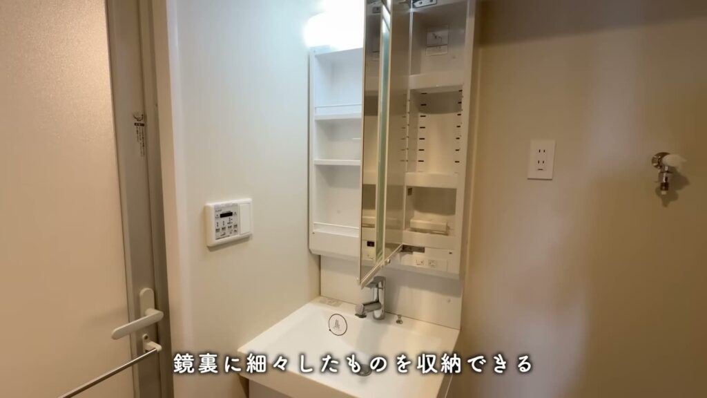 RJRプレシア熊本駅前 1LDKの鏡裏収納