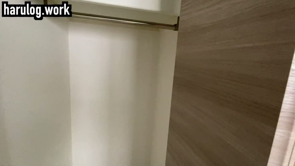 D-room唐原B棟 2LDKのハンガーパイプ
