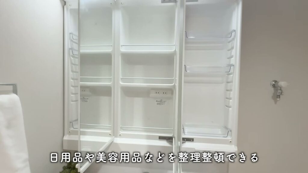 2LDKの鏡裏の収納