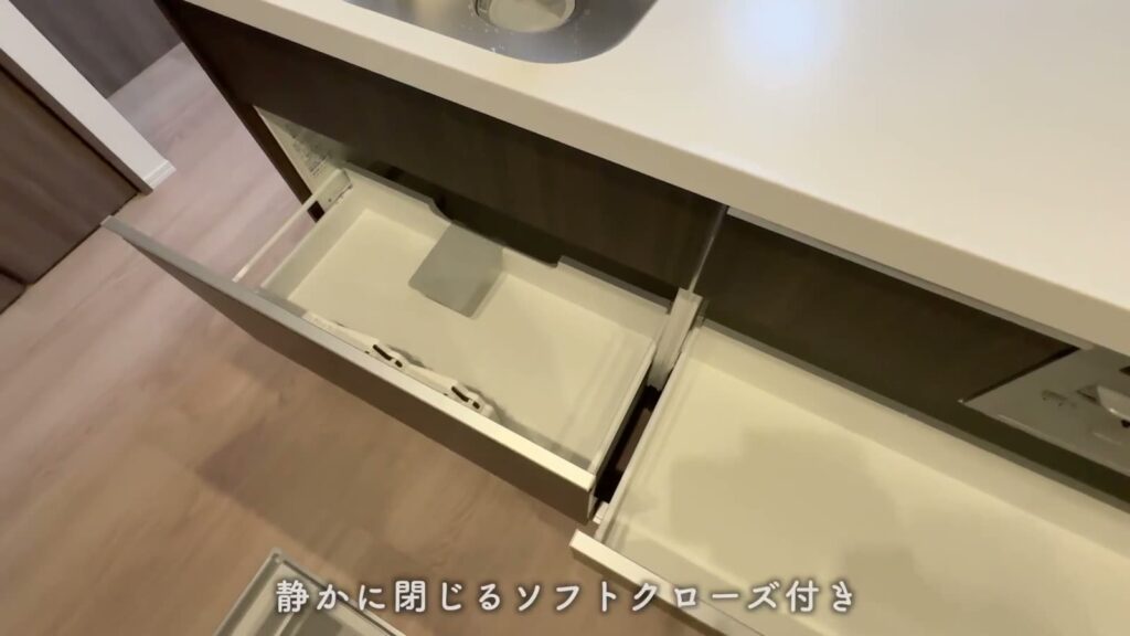 リベルタ三篠 1LDKの引き出し収納