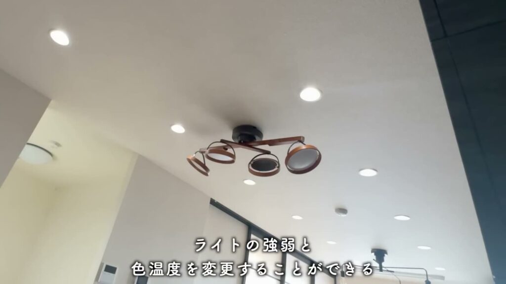 プルミエール上賀茂 2LDKの照明