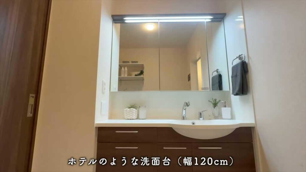 D-ROOM松尾鈴 1LDKの洗面台