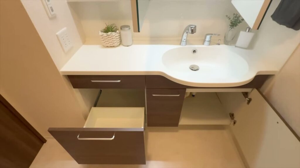 D-ROOM松尾鈴 1LDKの鏡と収納