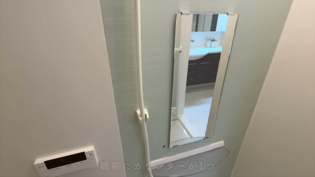 D-ROOM松尾鈴 1LDKのシャワーと鏡