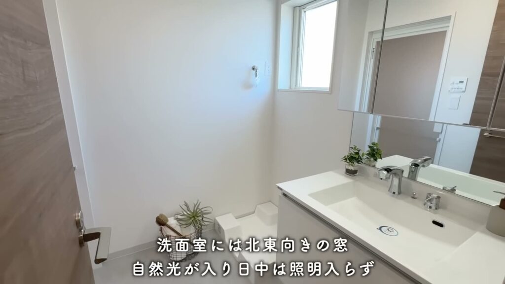 カスタリア旗の台 1LDKの洗面室
