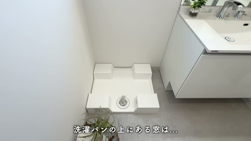 カスタリア旗の台 1LDKの洗濯機置き場