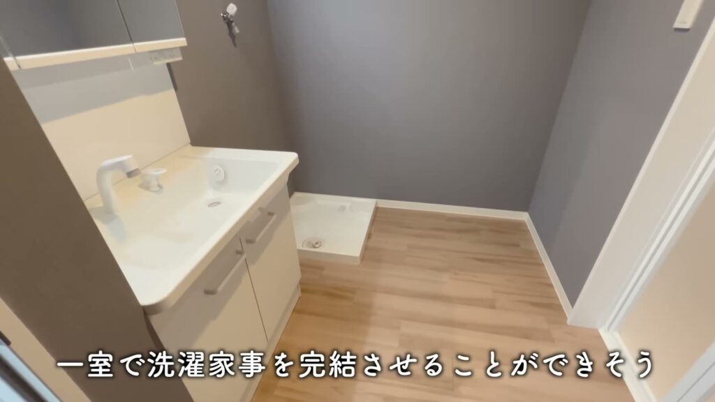 Sophia 1LDKの洗面台と洗濯機置き場