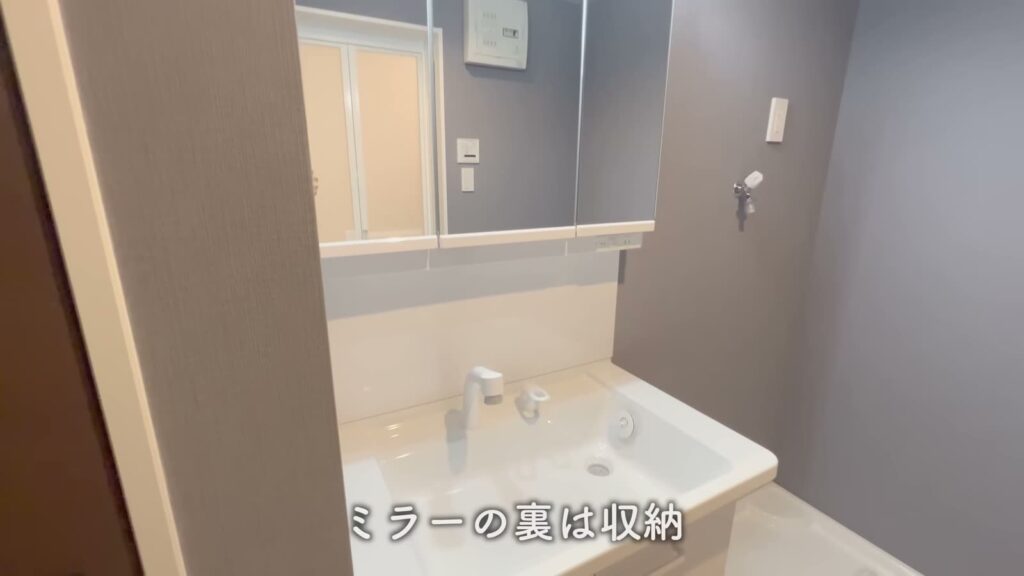 Sophia 1LDKの洗面台