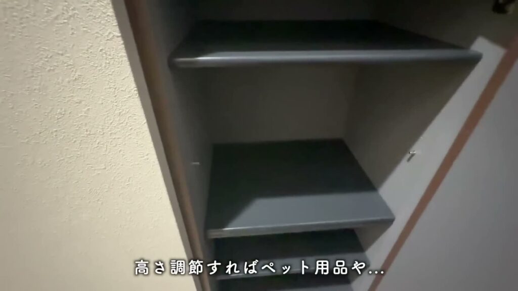 アルデバランB棟 1LDK+Sの靴箱