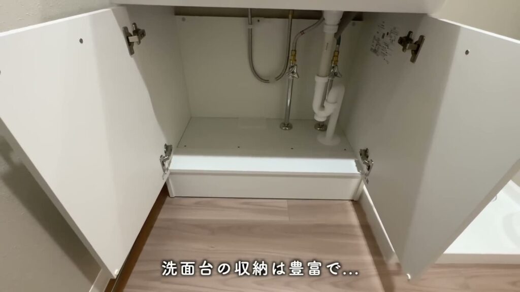アルデバランB棟 1LDK+Sの洗面台の収納