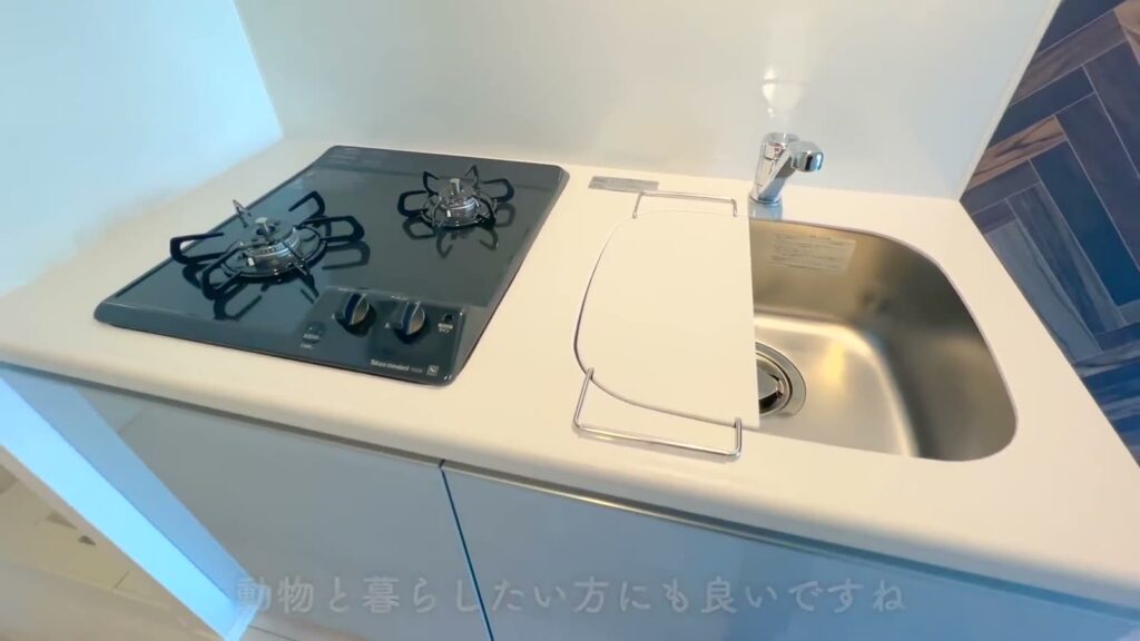 中野本町パークサイドレジデンス 1DKのシンク