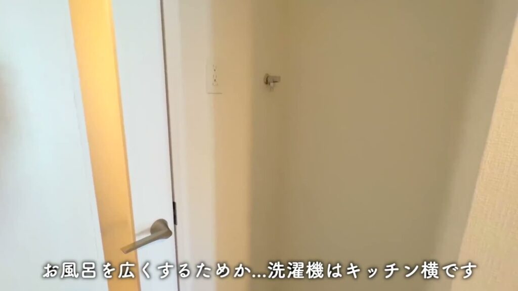 中野本町パークサイドレジデンス 1DKの置き場の壁