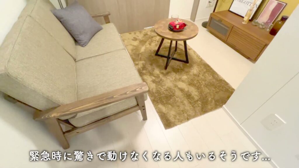 東京八広ザ・スプレッドレジデンス 1DKのDKのソファ