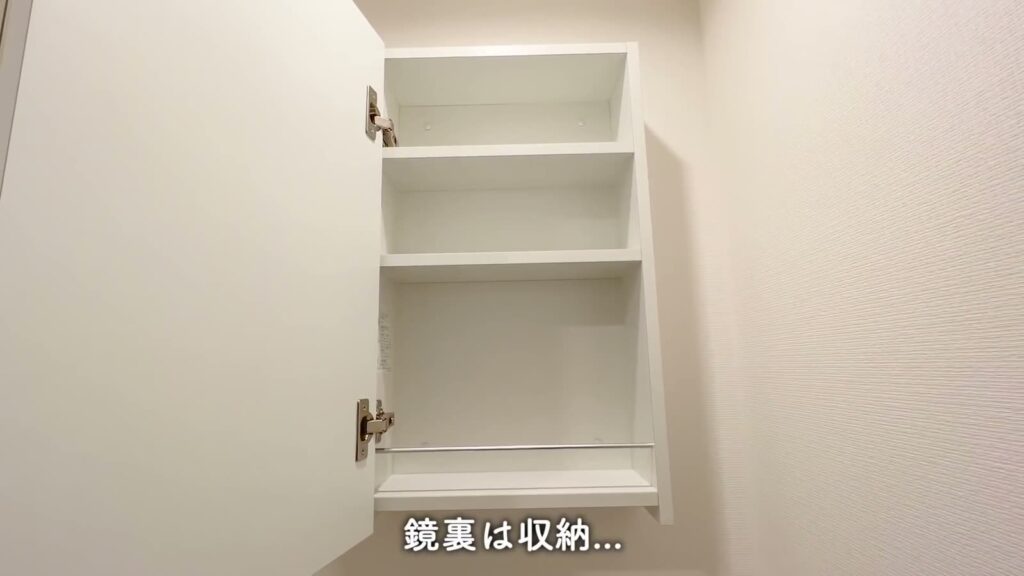 ハーモニーフラッツ赤羽 1Kの鏡裏の収納