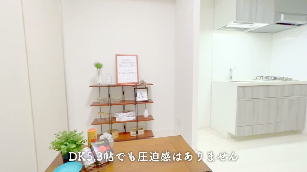 PREMIUM CUBE 上野毛 #mo 1DKのキッチン側を見る