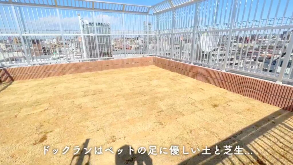 PREMIUM CUBE 上野毛 #mo 1DKのドッグラン