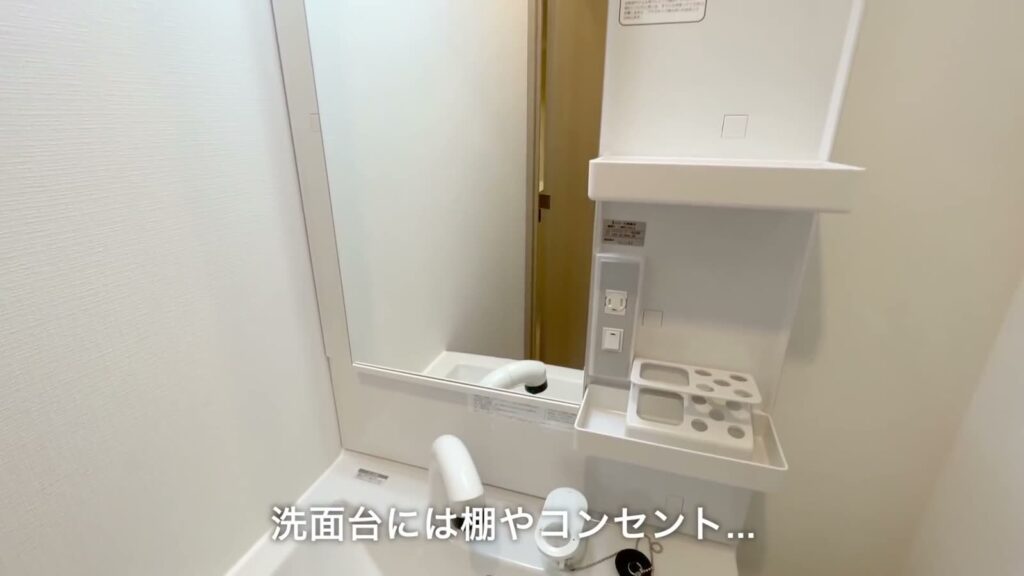 グランヴァンプレミアムイースト川口 1Kの鏡と棚