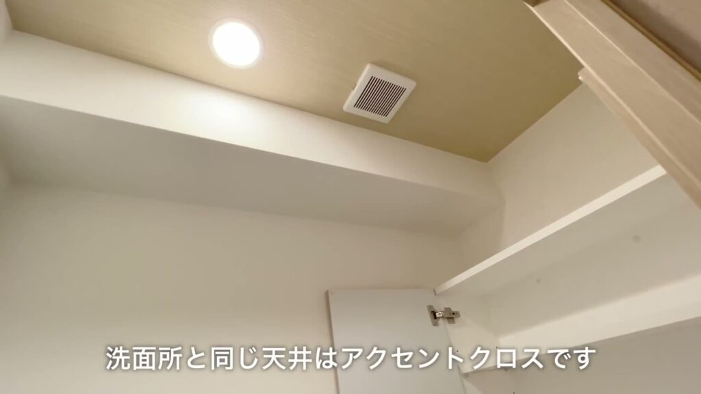 グランヴァンプレミアムイースト川口 1Kの天井