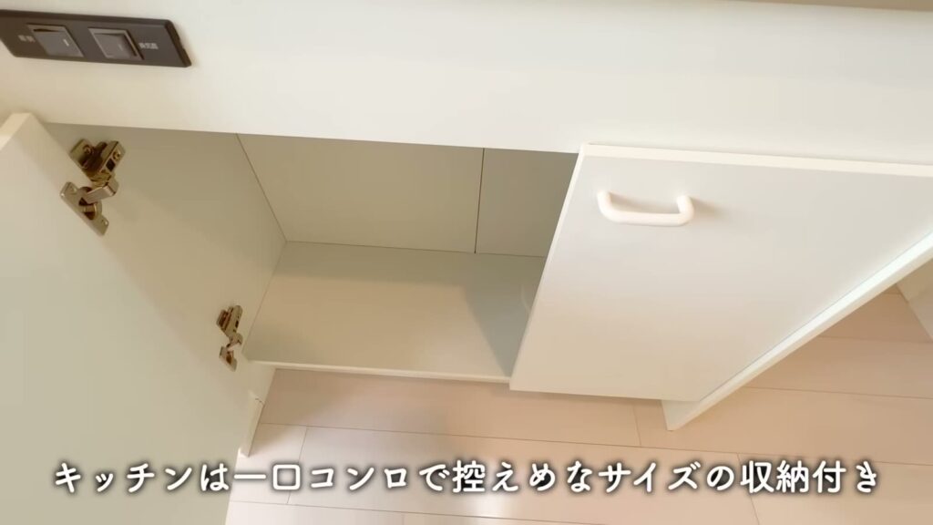 ハーモニーテラス栗原Ⅱ 1R＋ロフトのキッチンの収納