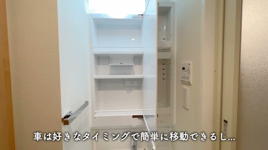 ハーモニーレジデンスパレスフロント 1LDKの鏡裏の収納