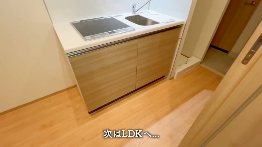 ハーモニーレジデンスパレスフロント 1LDKのキッチン全景