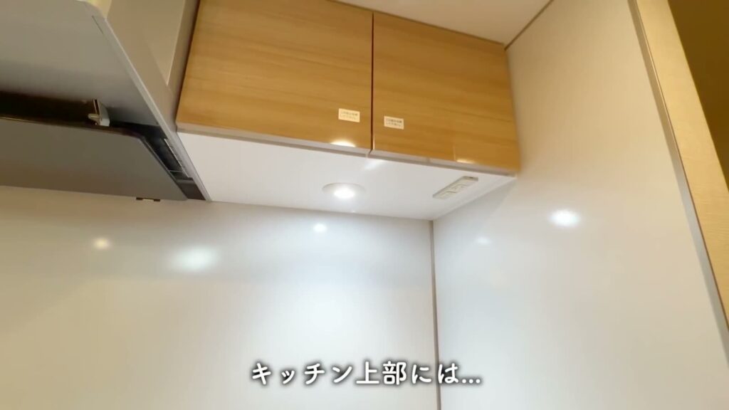 ハーモニーレジデンスパレスフロント 1LDKの吊り戸棚