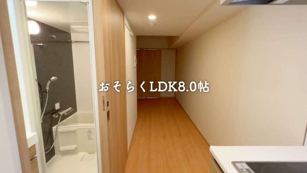 ハーモニーレジデンスパレスフロント 1LDKのLDK