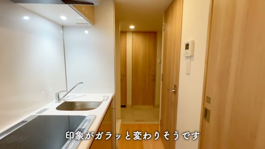 ハーモニーレジデンスパレスフロント 1LDKの廊下と玄関方向