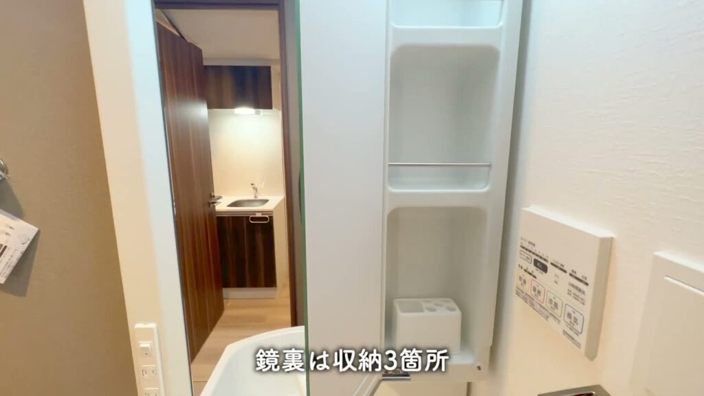 ラフィスタ中板橋Ⅱ 1Kの鏡裏の収納