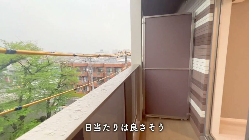 ラフィスタ中板橋Ⅱ 1Kのバルコニーからの眺め