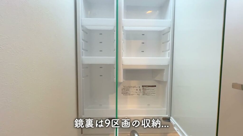 江東区石島 1LDKの鏡裏の収納