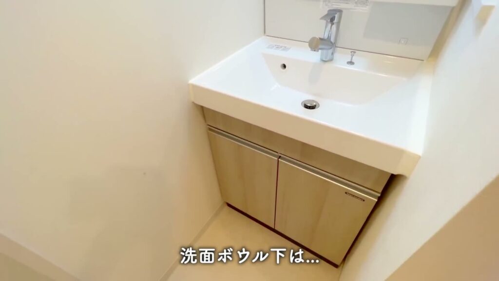 ラフィスタ亀有 1DKの洗面台